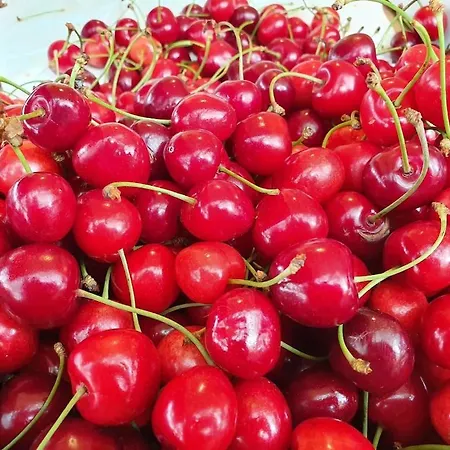 Penthouse Duplex Nina - Seaview 250m To And Restaurants - Free Parking - And Ciovo - 15 Minutes To Airport Apartment Trogir