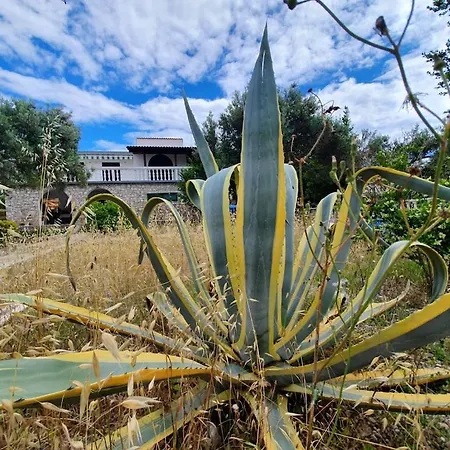 Apartment Penthouse Duplex Nina - Seaview 250m To And Restaurants - Free Parking - And Ciovo - 15 Minutes To Airport Trogir