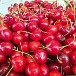 Penthouse Duplex Nina - Seaview 250m To And Restaurants - Free Parking - And Ciovo - 15 Minutes To Airport 아파트 트로기르