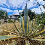 아파트 Penthouse Duplex Nina - Seaview 250m To And Restaurants - Free Parking - And Ciovo - 15 Minutes To Airport 트로기르