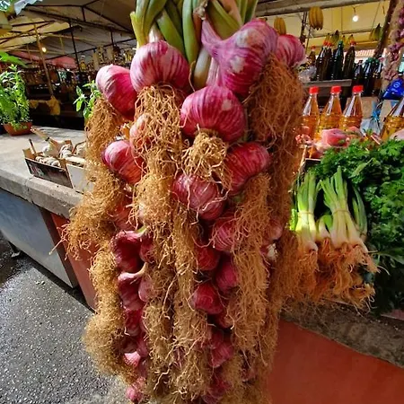 Penthouse Duplex Nina - Seaview 250m To And Restaurants - Free Parking - And Ciovo - 15 Minutes To Airport شقة تروغير